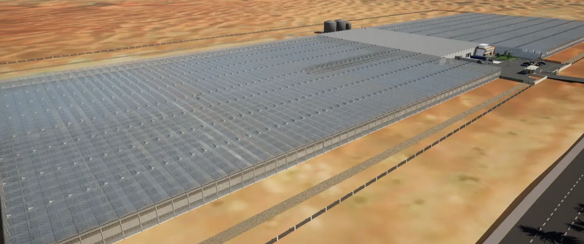 New greenhouse project to bolster the UAE's food resilience - Vimarsana News