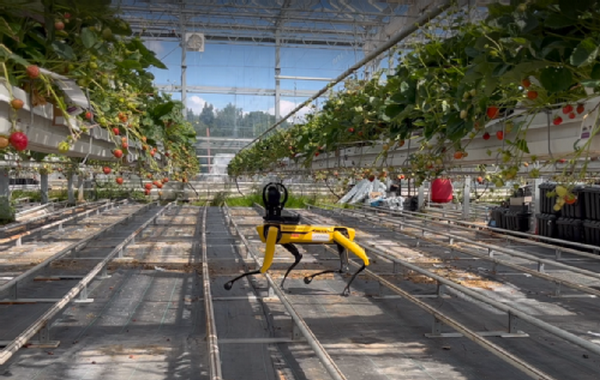 Robocrop: The robot assistants helping farmers to increase productivity - Vimarsana News