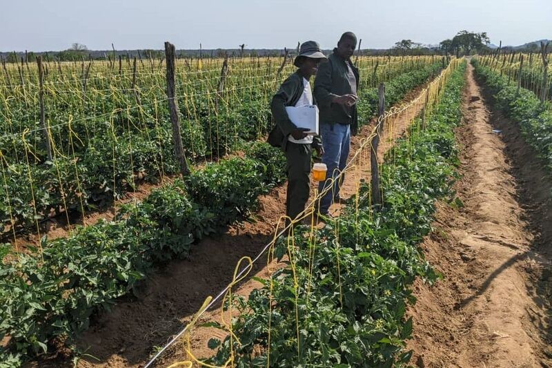 Ebenezer ag training center's a beacon of hope for young growers - Vimarsana News