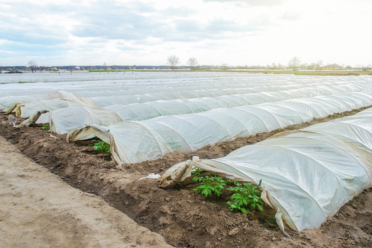 Ukraine: Aiding frontline communities during conflict to restore economic freedom