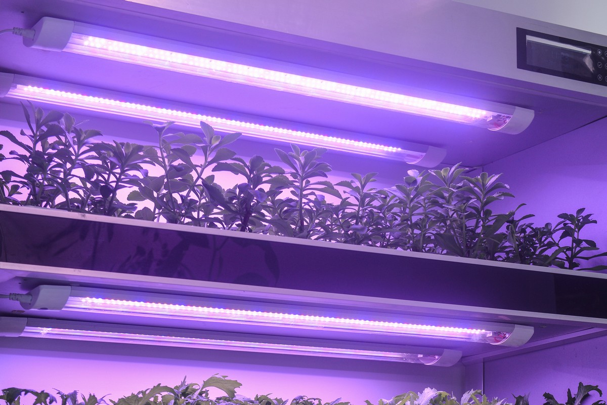 US (ND): Agriculture conference to focus on indoor growing