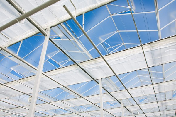 GreenV invests in Mexican market with GreenV Mexico - Vimarsana News