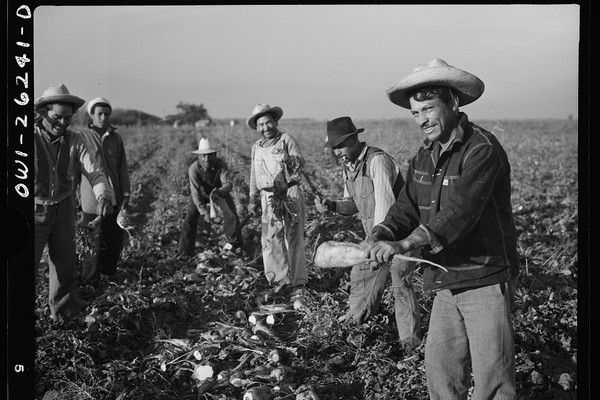 Across the Southern border: How U.S. immigration policies affect agriculture - Vimarsana News
