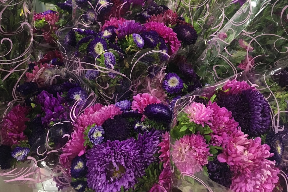 Yangje Flower Festa رسماً در سئول آغاز می شود