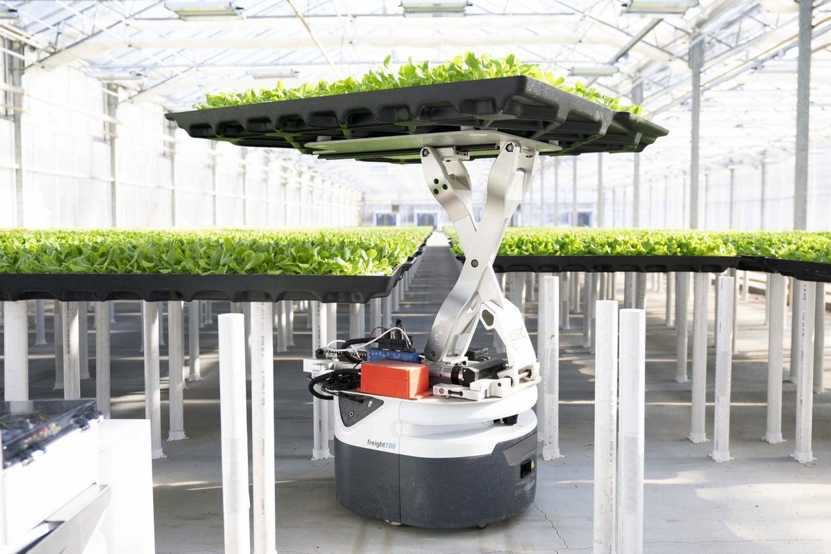 Hippo Harvest secures $21 million in Series B funding for greenhouse innovation in the US - Vimarsana News