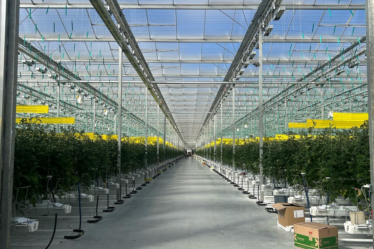 From cows and cash crops to greenhouses: Integral Farms Produce - Vimarsana News