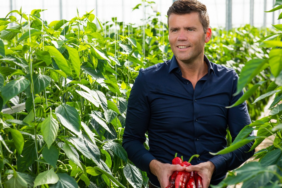 Perry Dekkers resigns as Commercial Director at Growers United - Vimarsana News