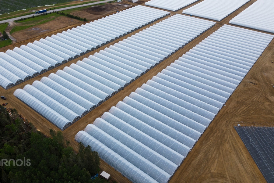 CAN: Turnkey solutions for open-field and berry growers