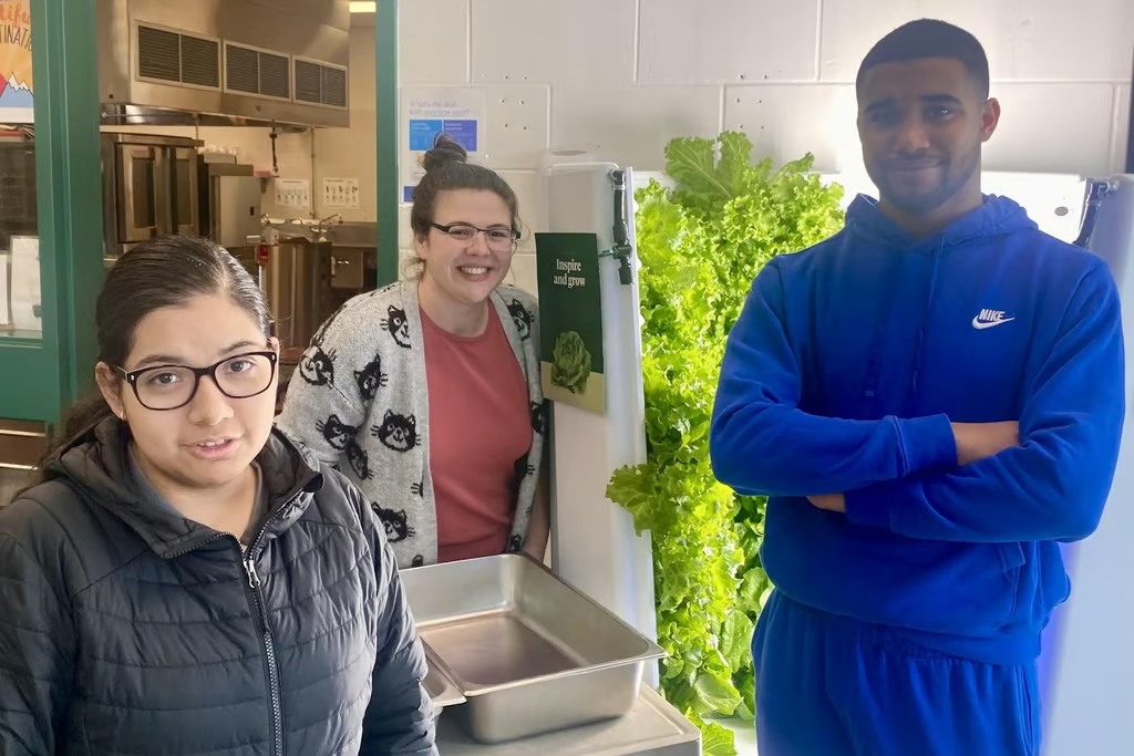 US: Colorado school district to start using hydroponics for school food growth