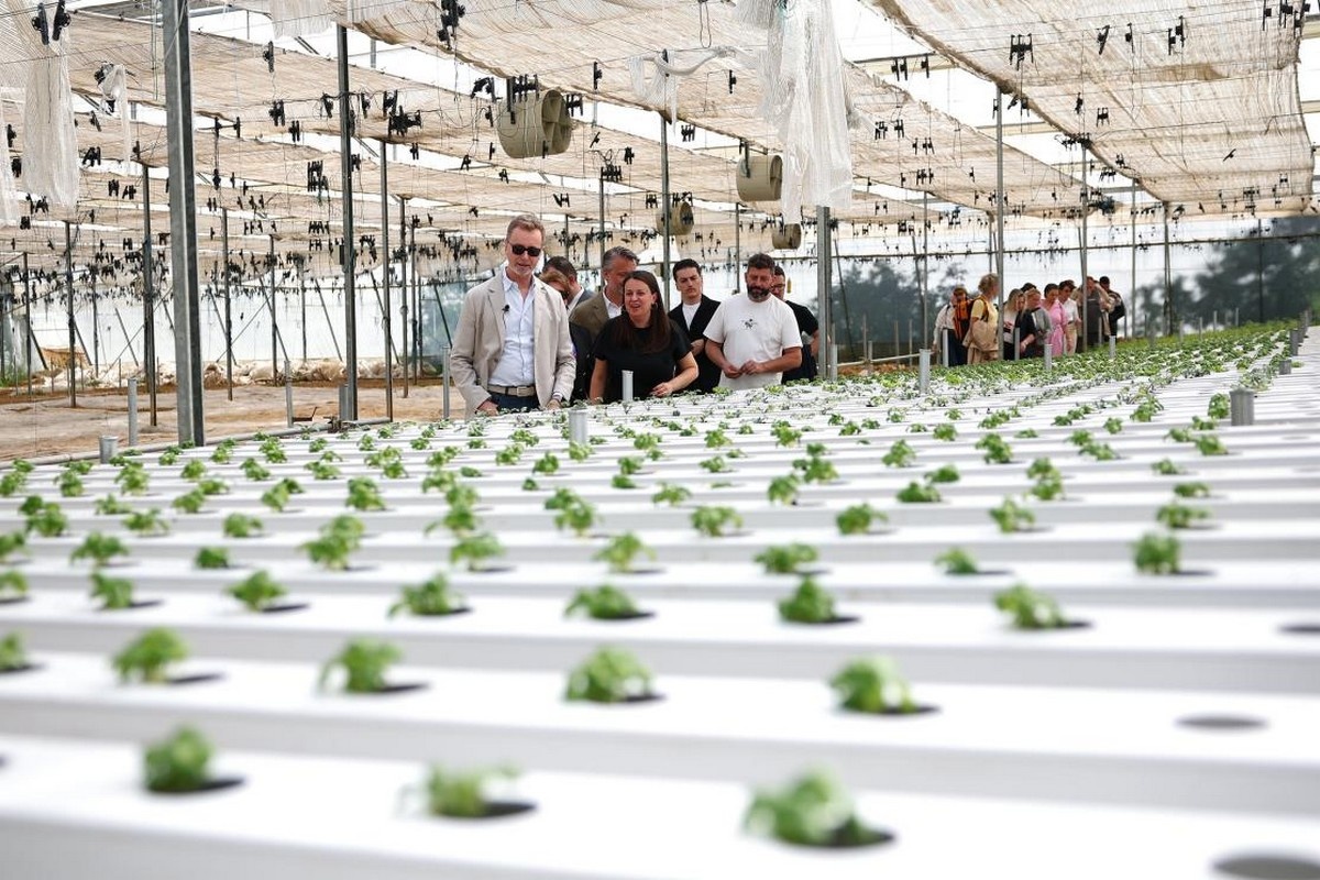 EU support aiding Albanian growers change their market
