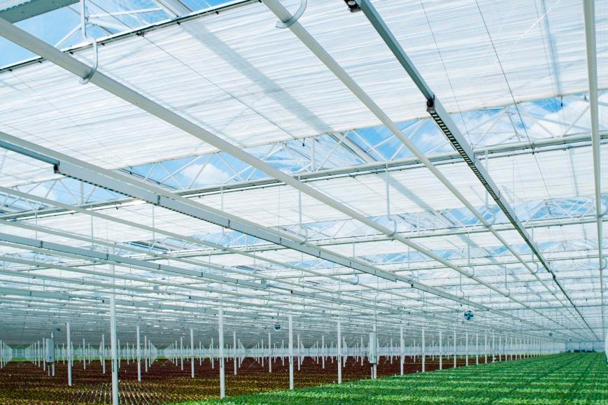 “Building a leafy greens facility starts with production goals and cultivation decisions, not technical specifications”