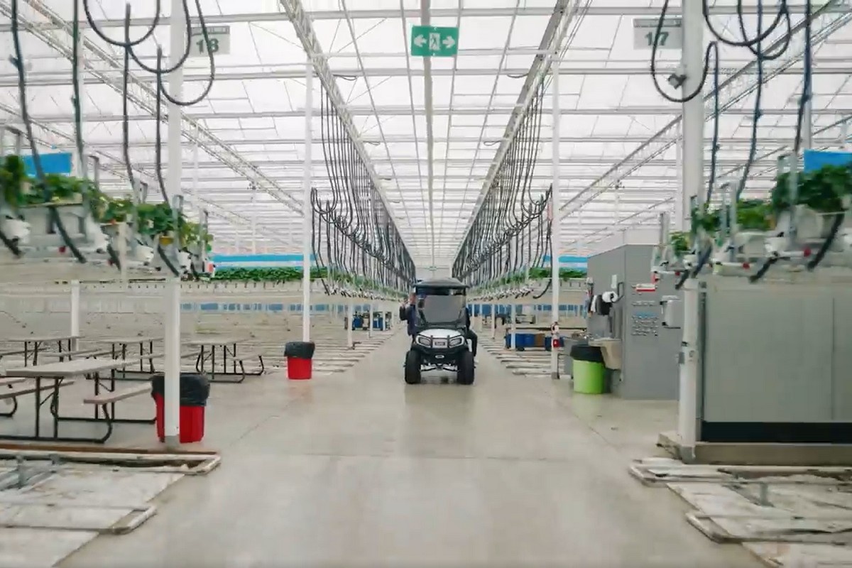 Mucci Farms to feature on Cox Cable’s YurView Channel