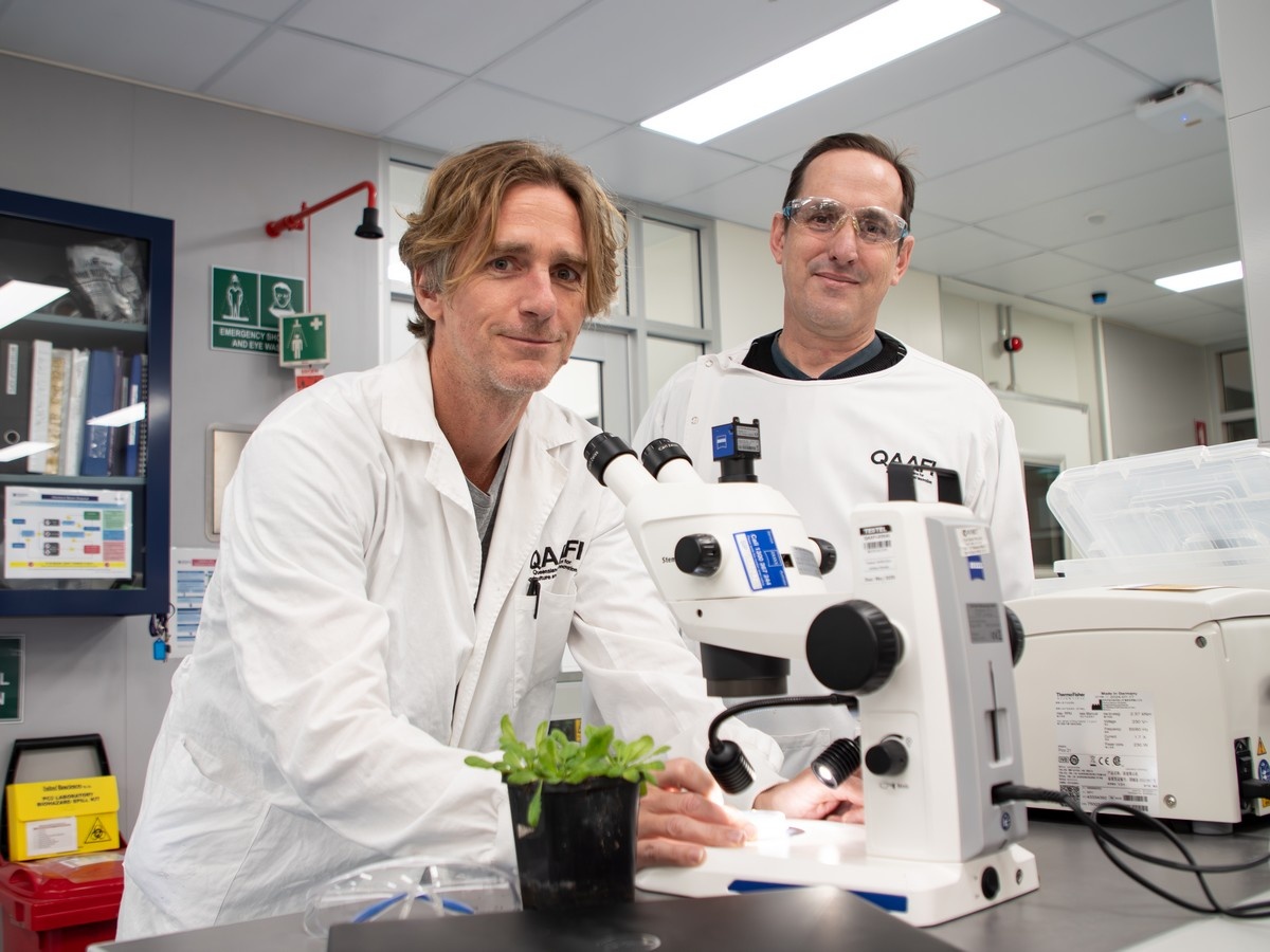 Maxing out chemical-free crop protection with dsRNAmax