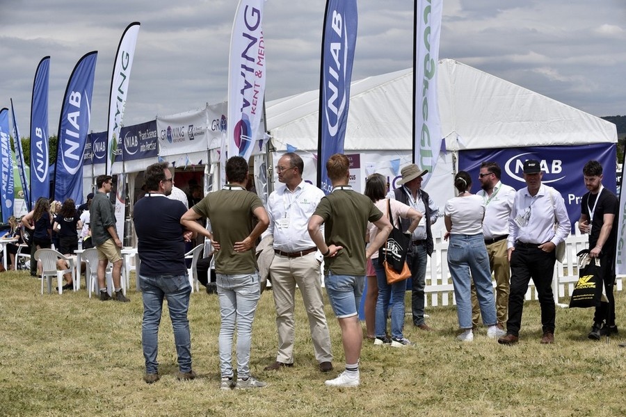 UK: Innovation could hold keys to fruit industry growth