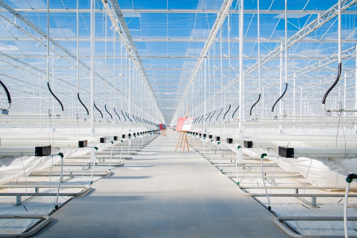 High-tech innovation and honeysweet craftsmanship have been a strong duo for years