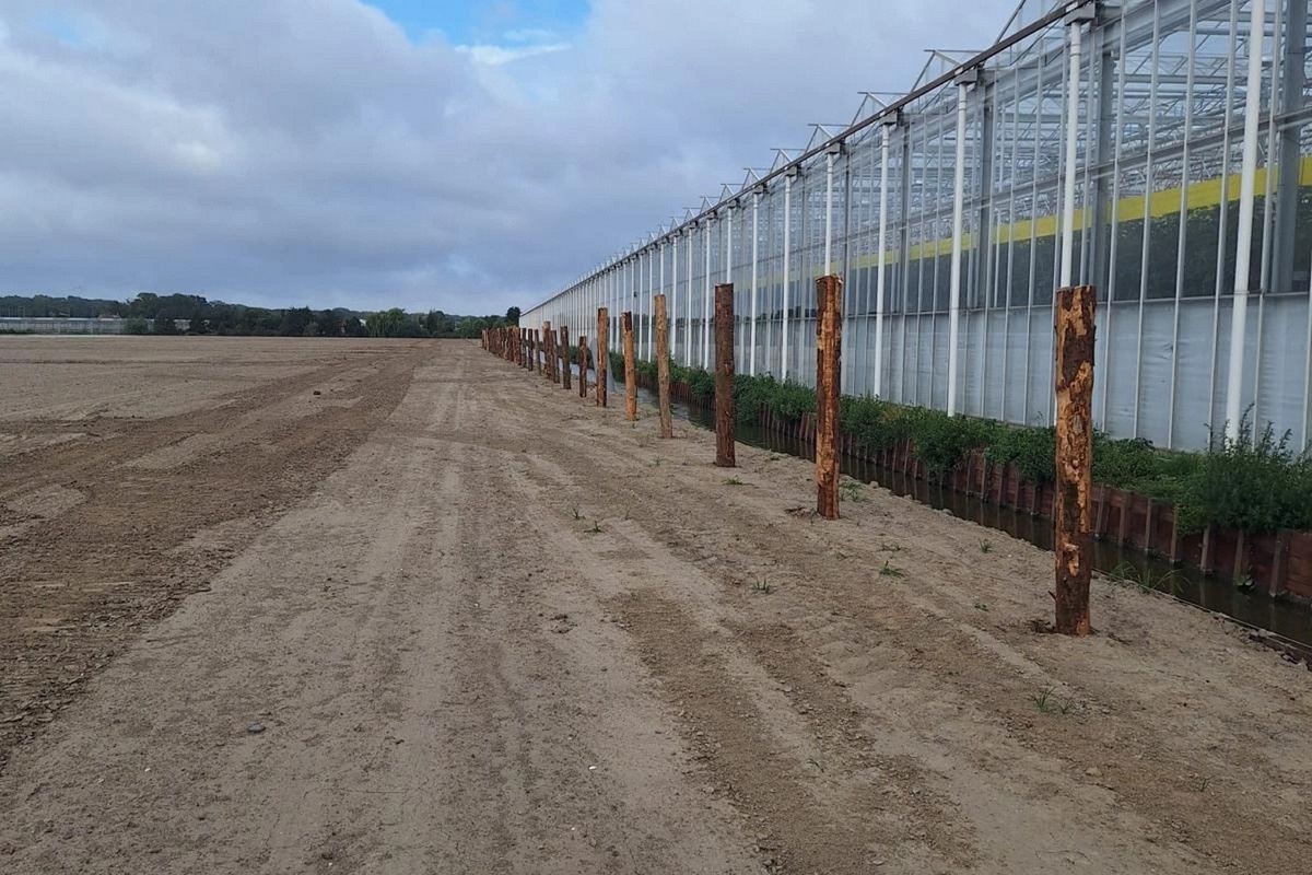 CO2 storage thanks to wooden piles in greenhouse construction project
