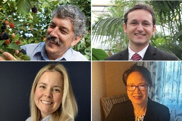 US: ASHS Announces 2025 career awards