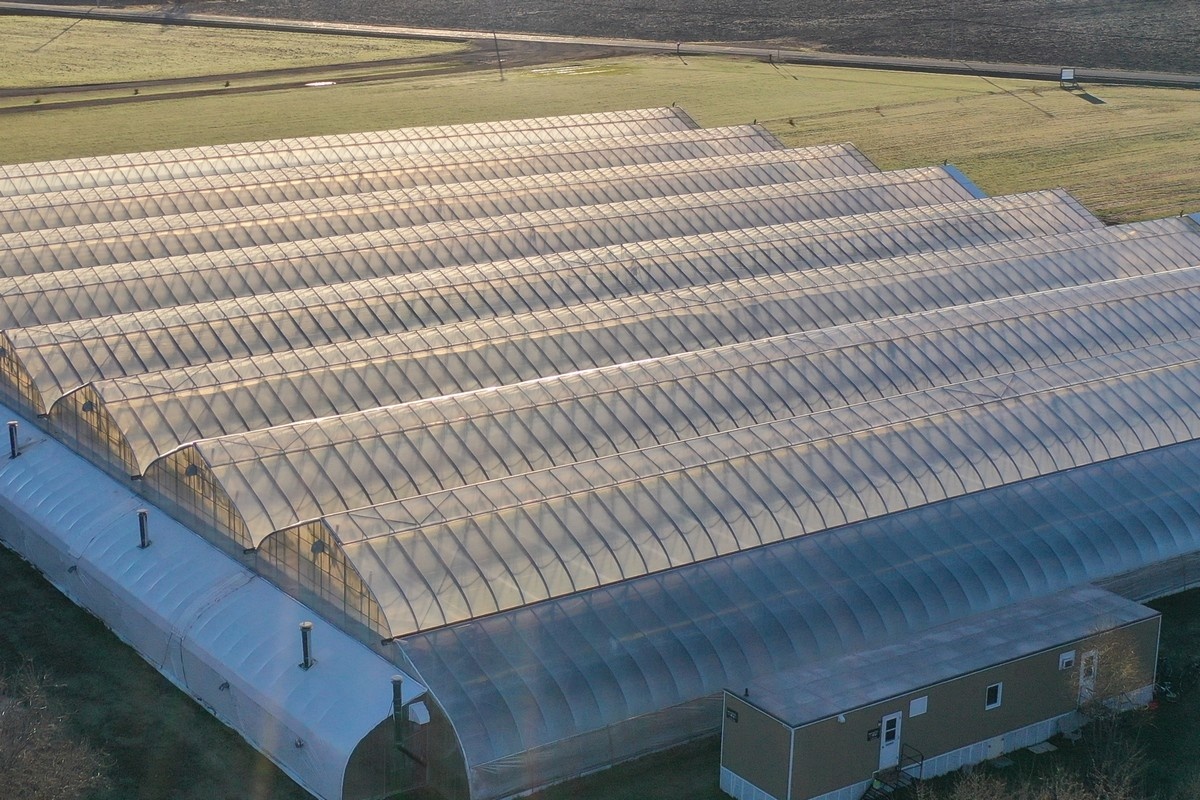 Looking at the competitive advantages of LED lighting in the greenhouse