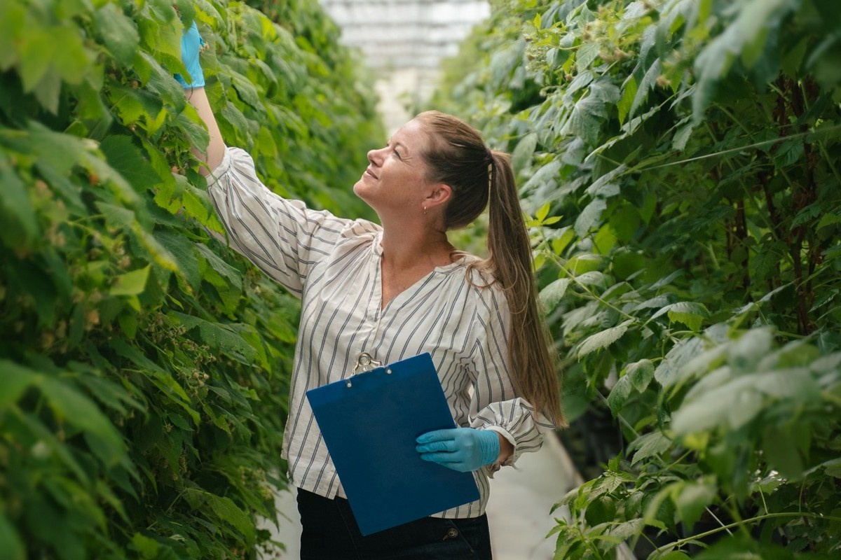 CAN: Center for Horticultural Innovation unveils new brand identity