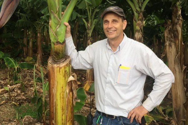 Banana biomass as a sustainable substrate