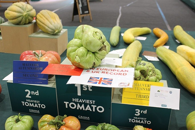 Heaviest tomato weighs more than newborn