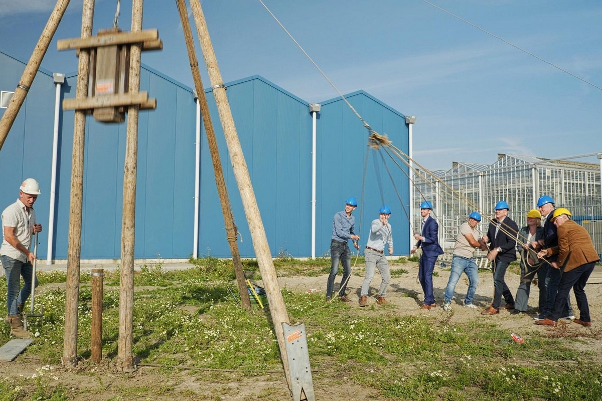 Looking back at 10 greenhouse construction stories