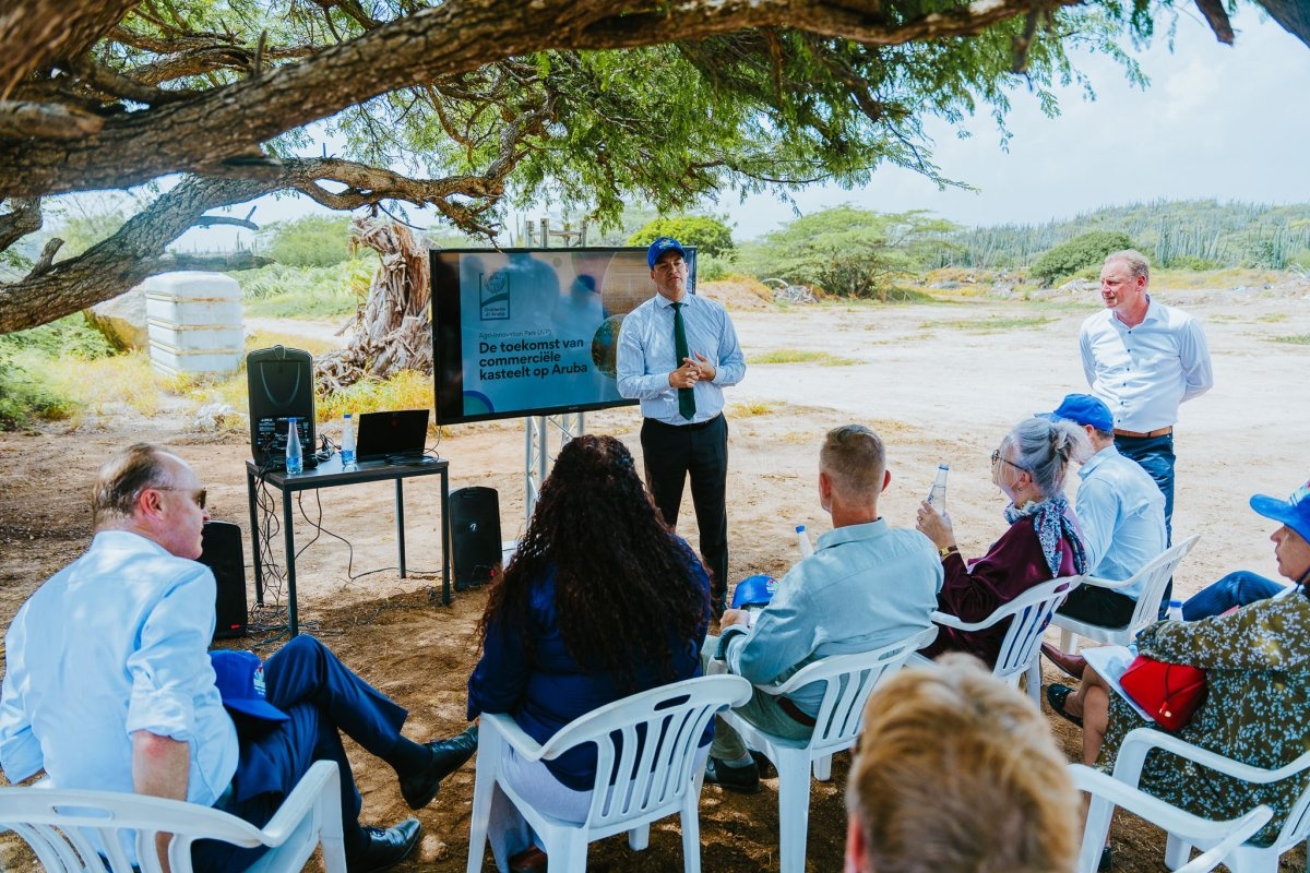 Aruba plans Agri Innovation Park combining polytunnels and Venlo greenhouses