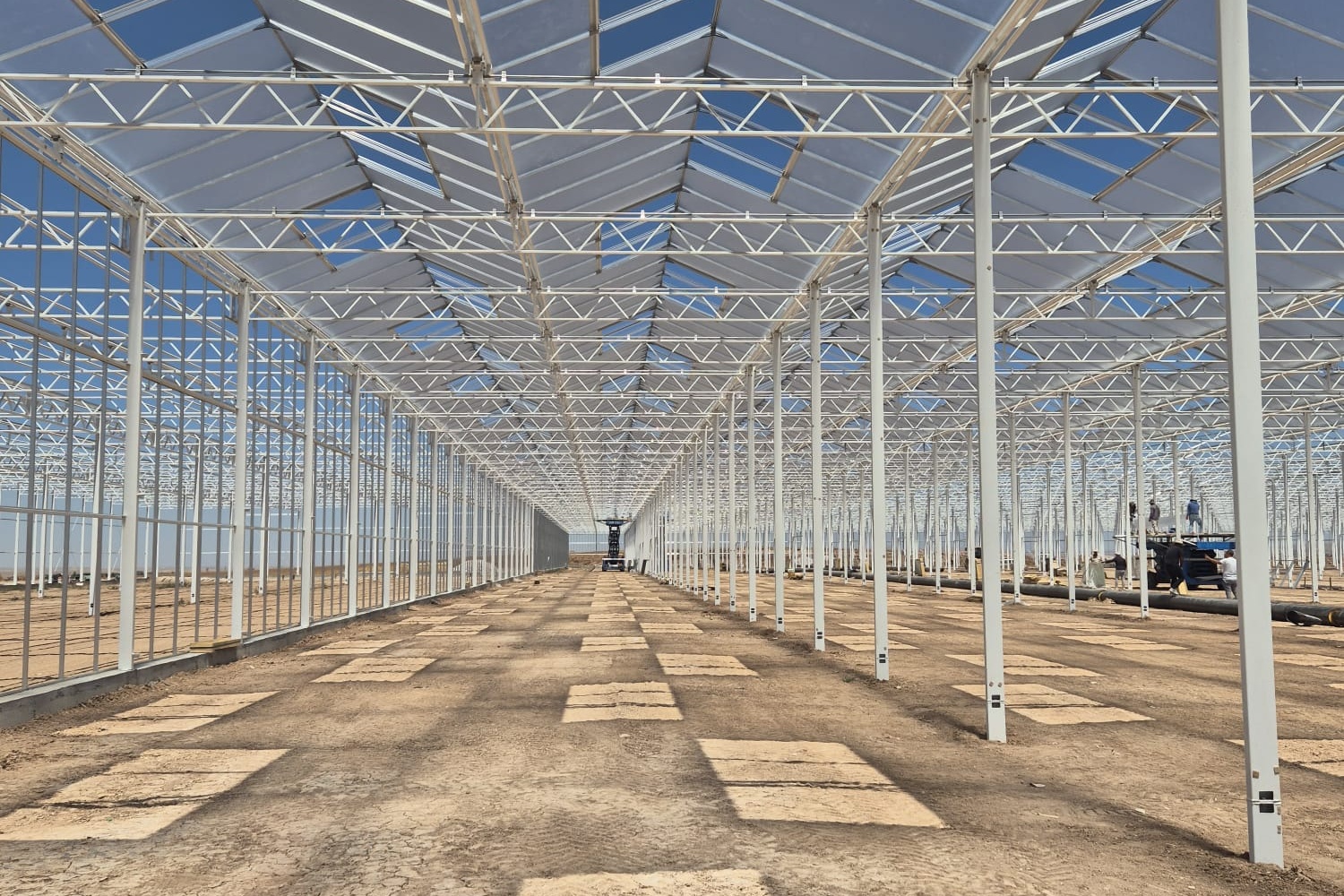 "Shift from climate control to light management a key driver in high-tech greenhouse design"