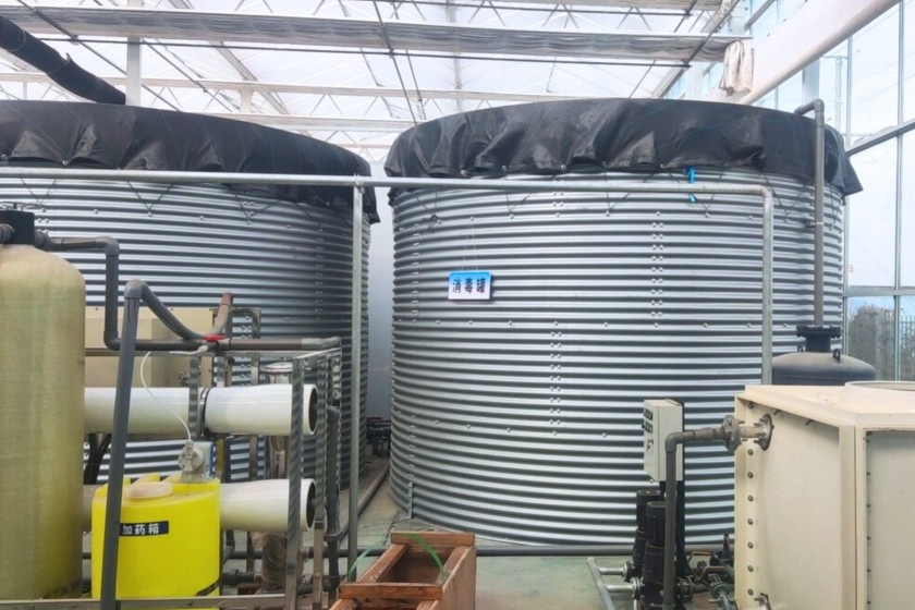 China: Getting the most from water tanks in the greenhouse