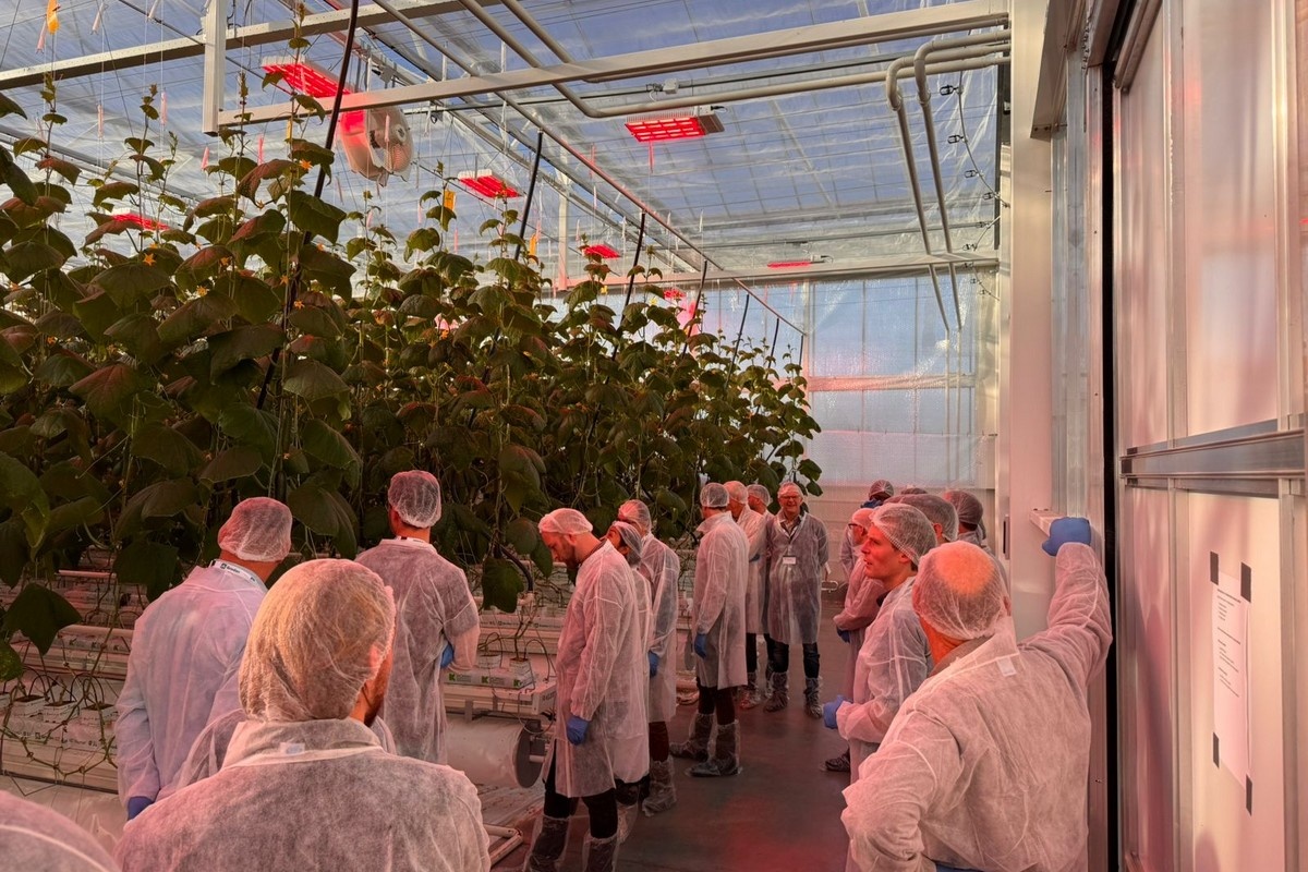 Experts confront rising water and root-zone challenges at the 27th Green Expert Platform