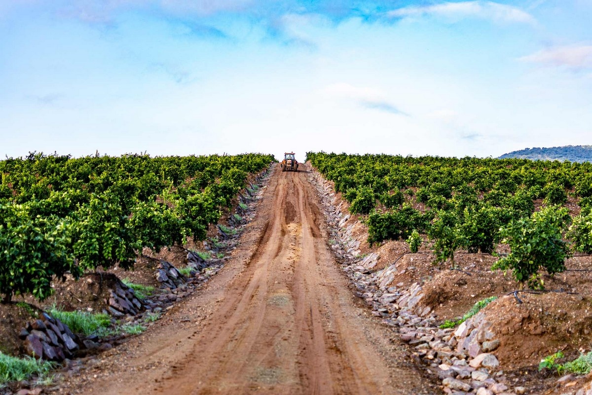 Spaanse citrus krijgt mogelijk meer ruimte richting voorjaar
