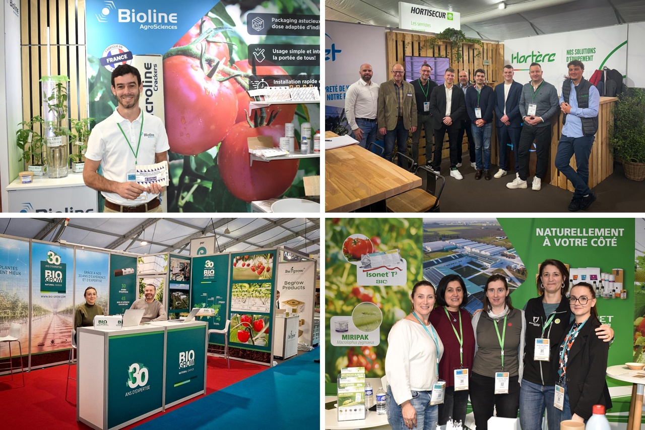 Grote Nederlandse inbreng op Sival in Franse Angers