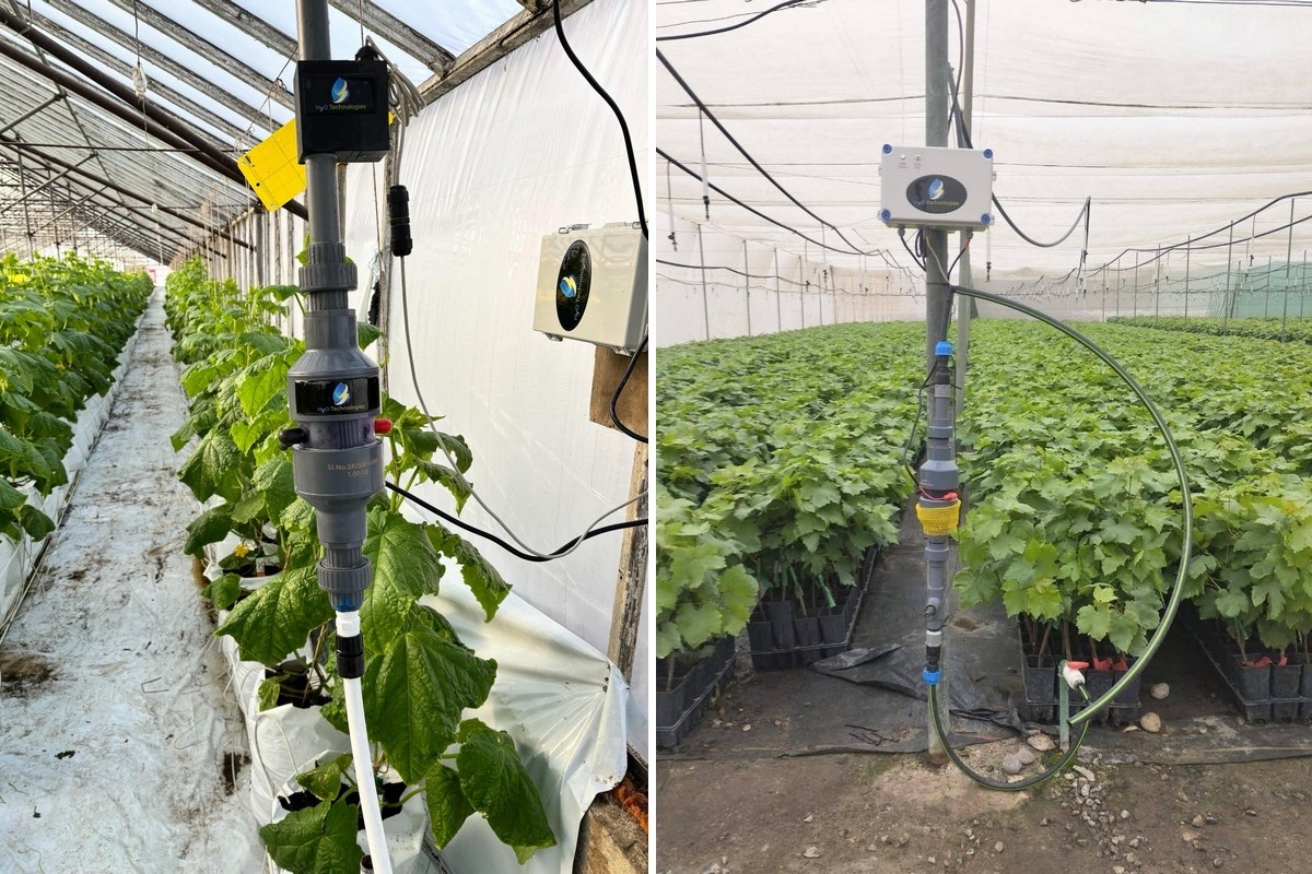 Hydrogen-rich irrigation systems shows promise for greenhouse crop performance