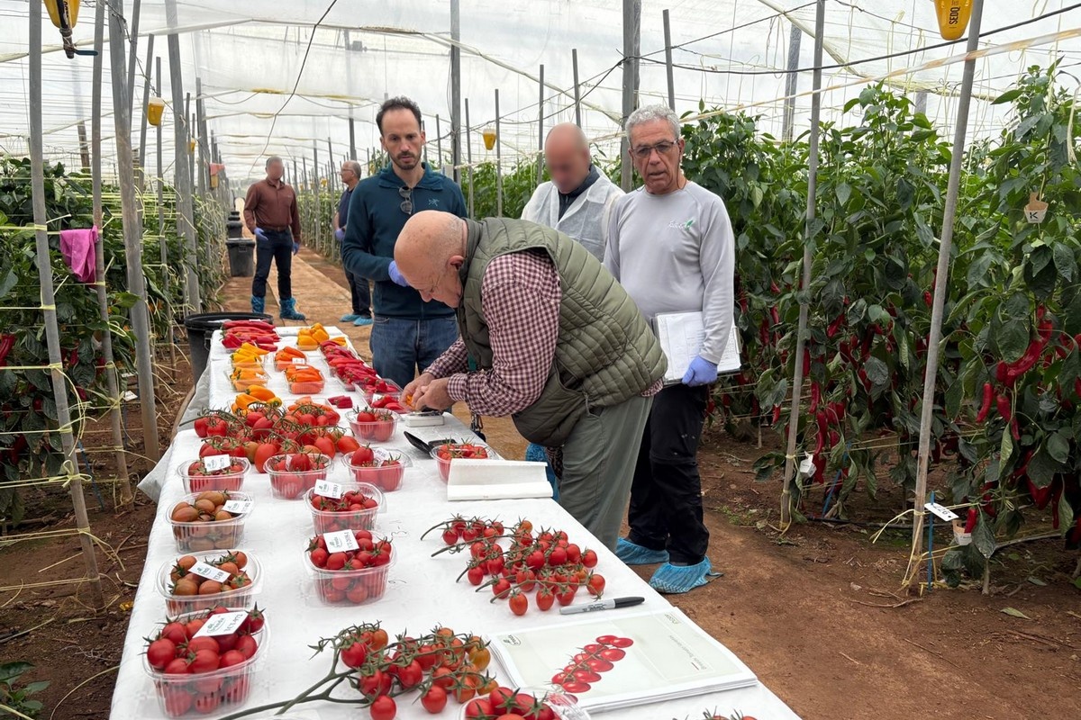 Специализированные овощи и инновации станут главными темами выставки Fruit Logistica