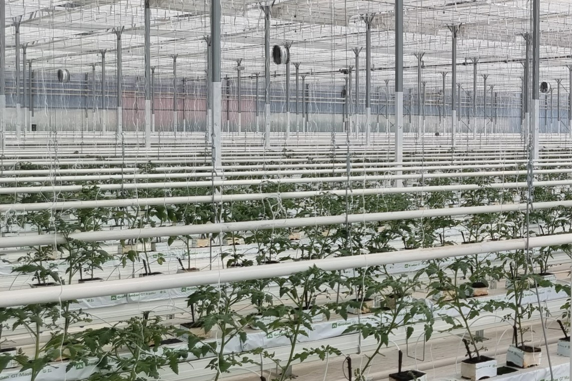 Круглый стол Europrogress на Macfrut 2026
