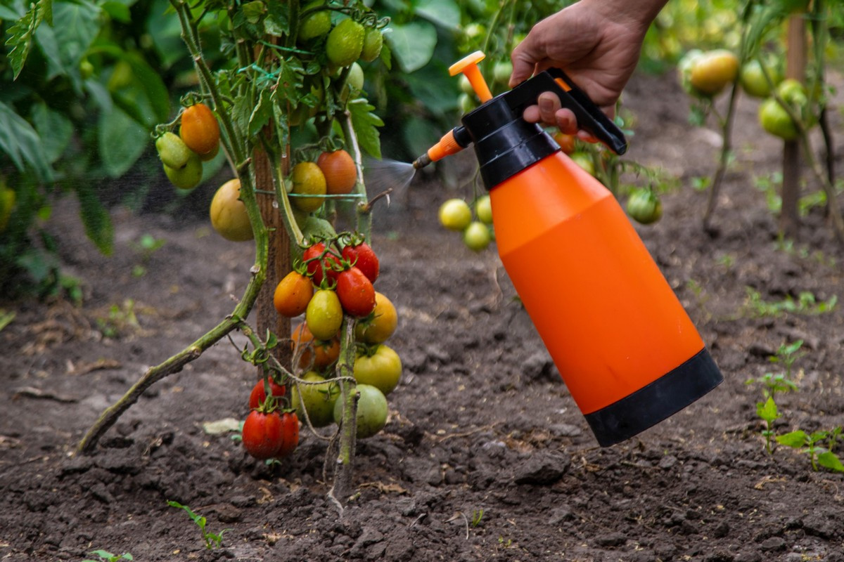 Spanish researchers develop drought-resistance spray for crops