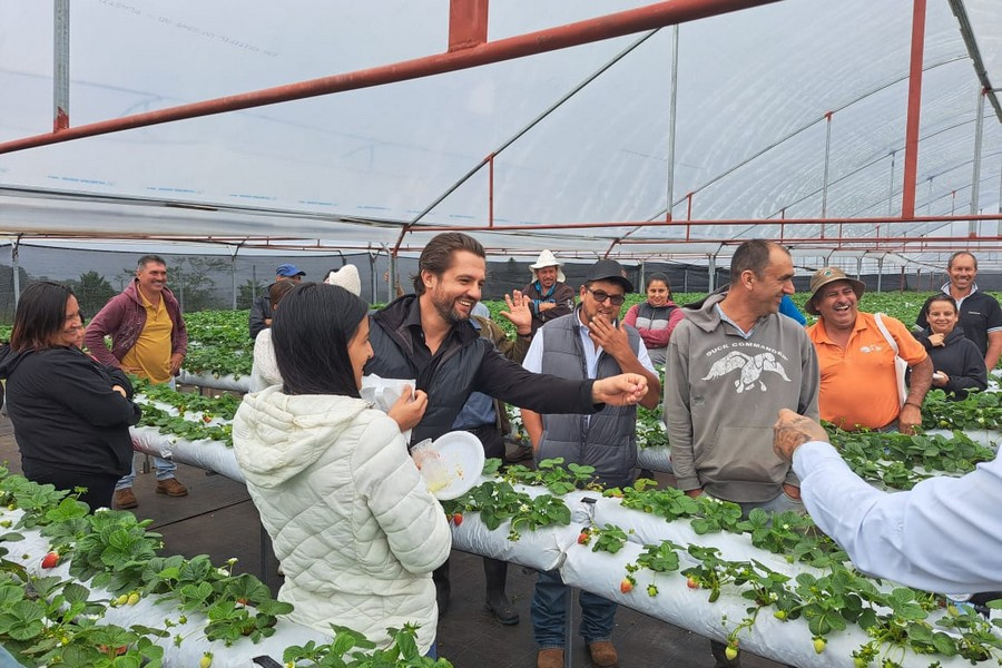 "It's crucial to rely on solutions adapted to local challenges"