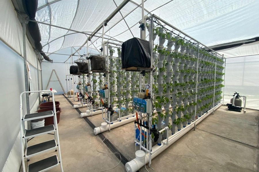 Mexico: Scientists develop new vertical farming system
