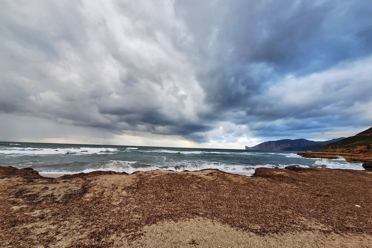 "The sea is offering us a 100% biodegradable and renewable material"
