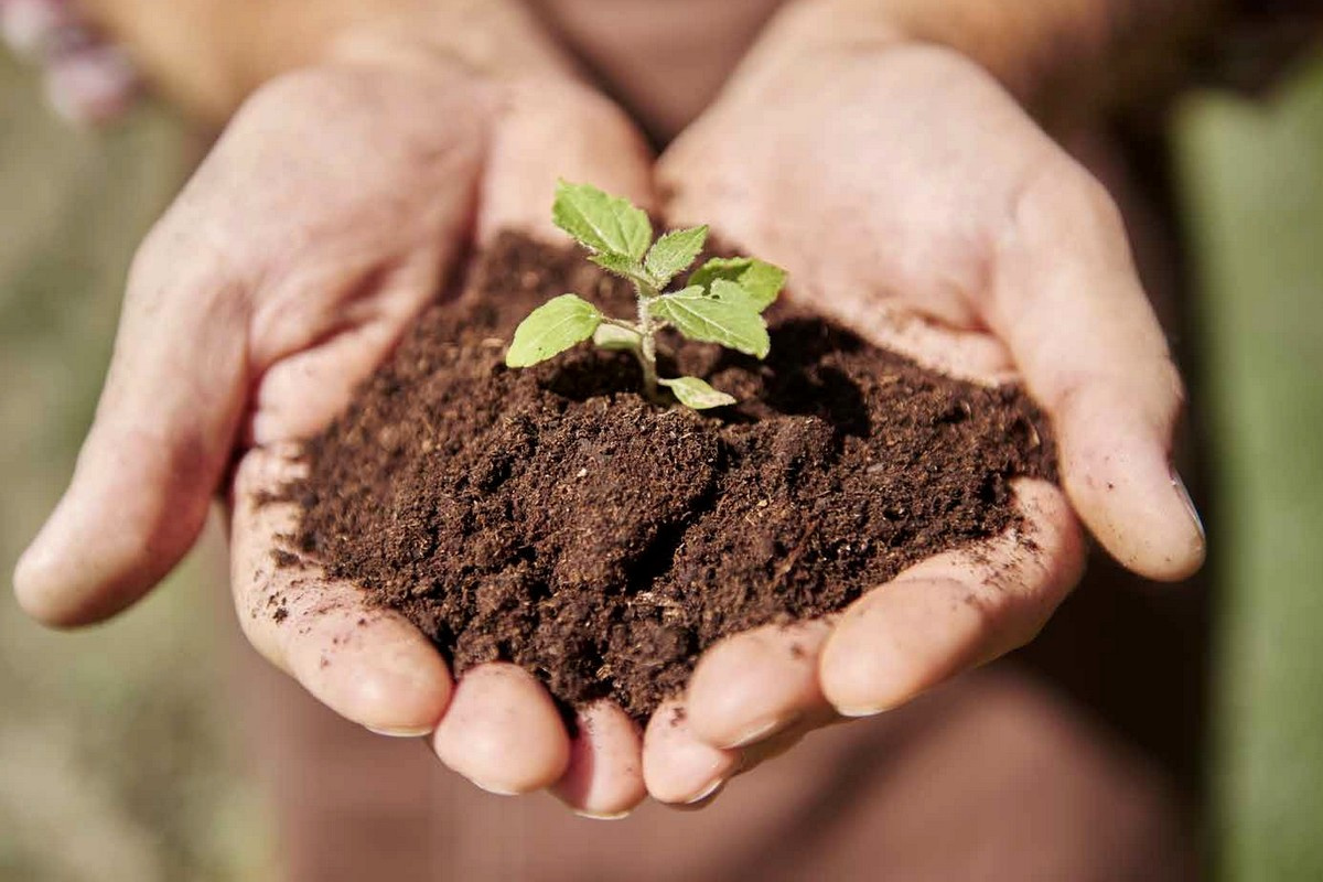 Soilless cultivation keeps expanding but substrate supply grows tighter