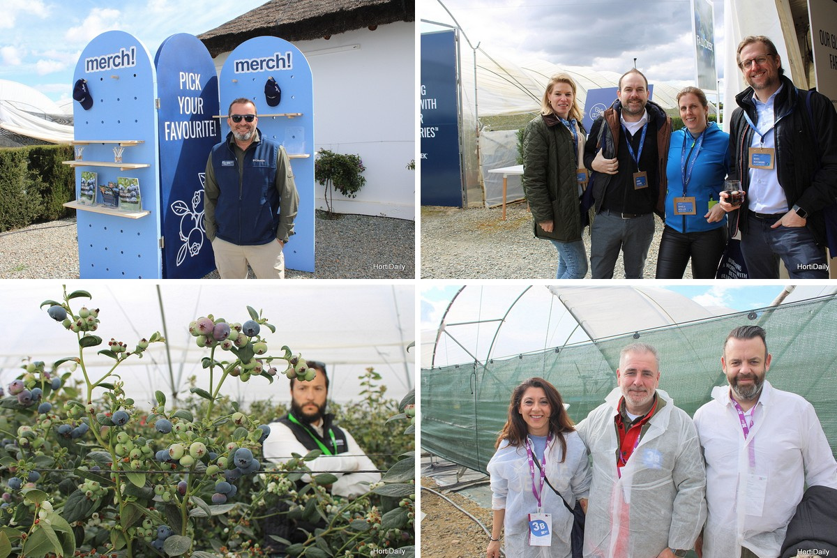 Is zwart het nieuwe blauw?