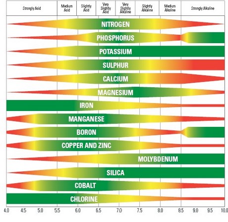 I’ve been sticking to 6.2 Ph for most of their life. What is ideal Ph