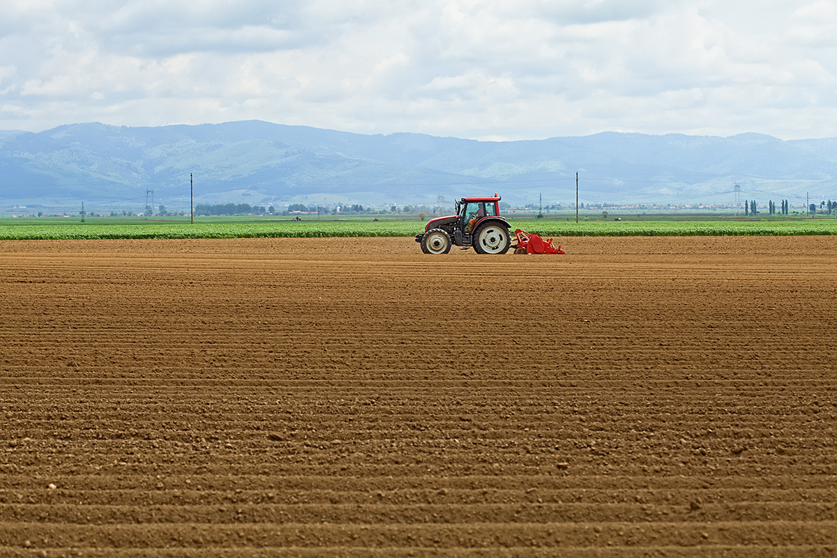 Powys pilot tests 14 6 hectare - AgriMachinery FP Img 0015
