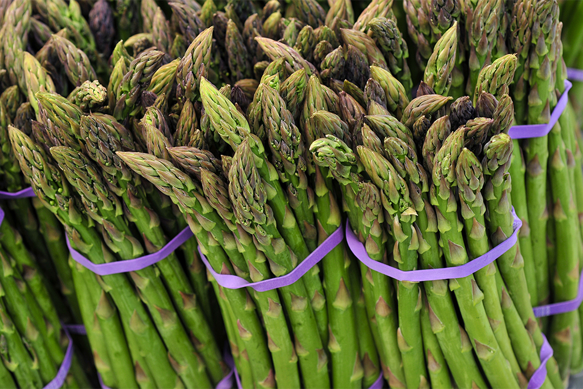 Georgia imports most asparagus from the Netherlands in 1Q 2026
