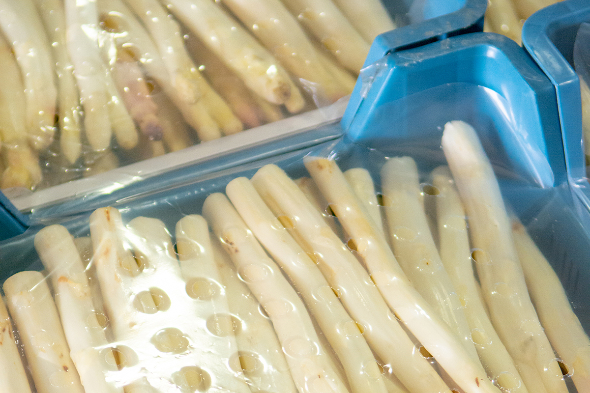 Ранний старт сезона: импортная спаржа на рынке