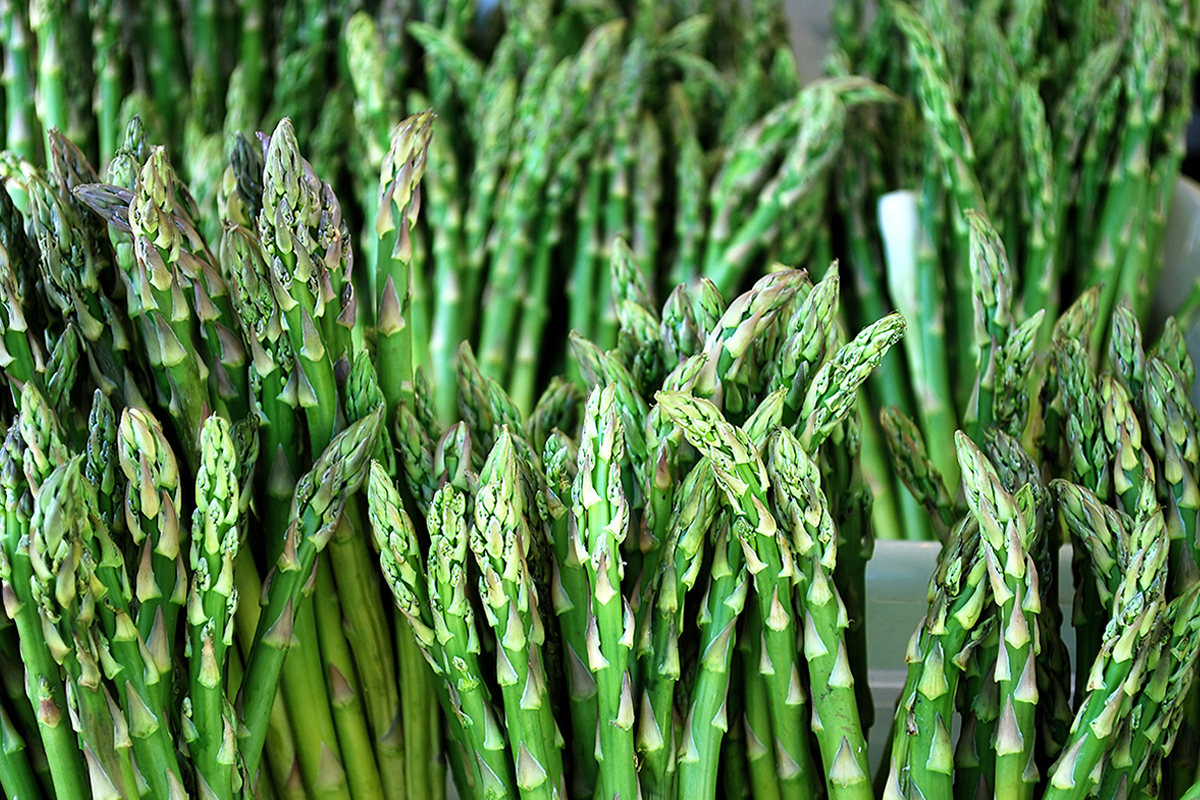Avocado prices steady as asparagus hits $37.75 per carton