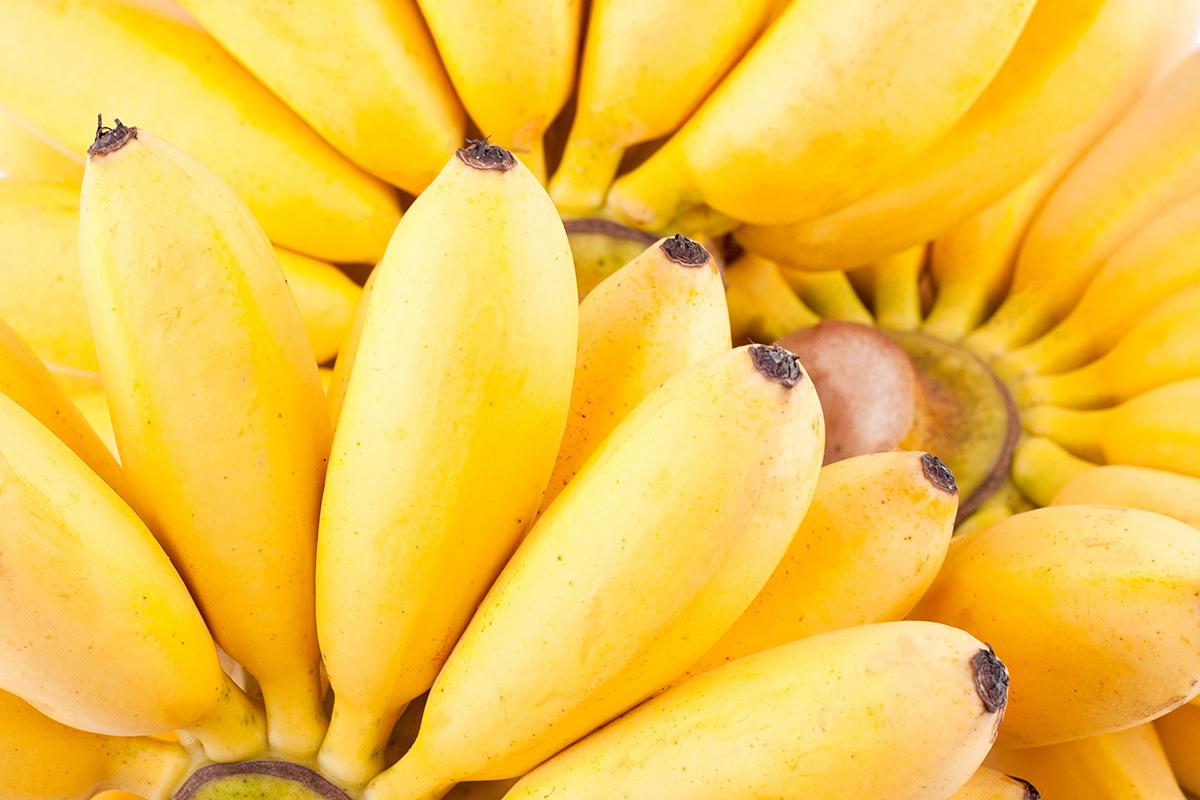 Ghanaian banana exporter plans West African expansion - Vimarsana News