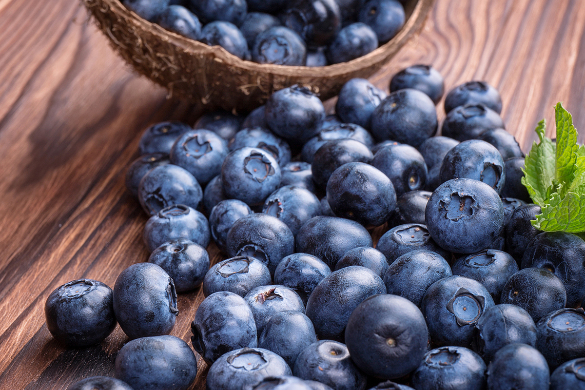 Дикая голубика для сосудов и обмена веществ: итоги исследования