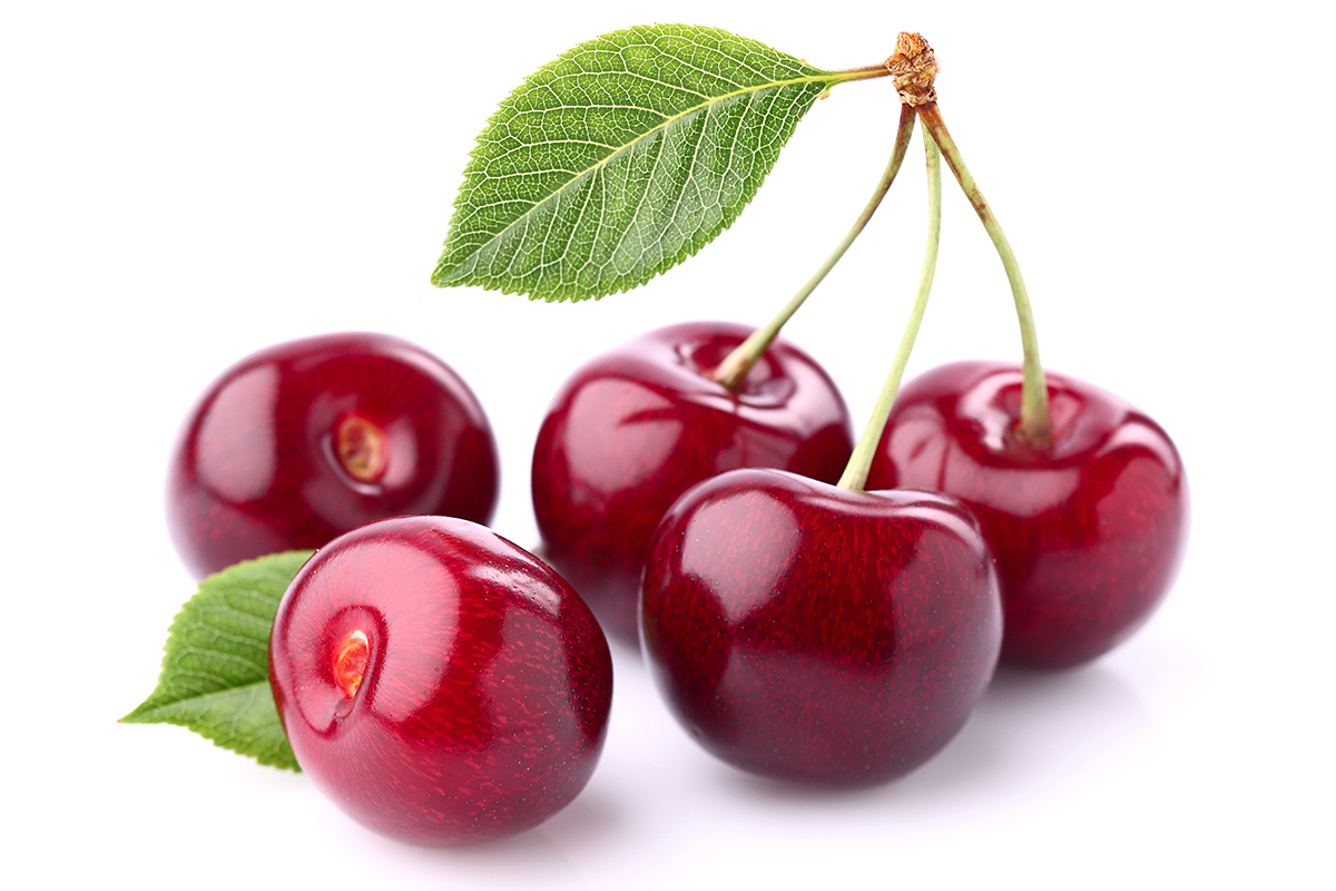 NFO: Reguliere toelating voor Tracer in kers en pruim