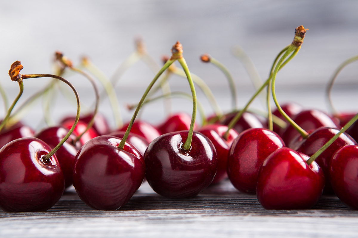 New cherry alliance set up in Michigan - Vimarsana News